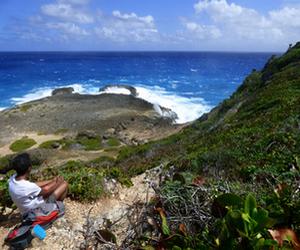 pointe souffleur trace des falaises Guadeloupe