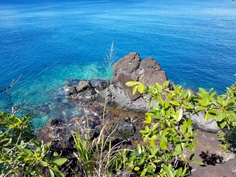 pointe negresse sentier malendure bouillante guadeloupe