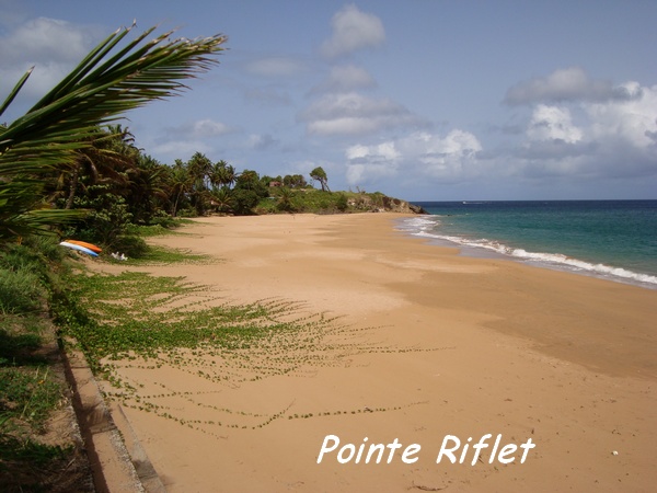 Pointe Riflet, Littoral Deshaies