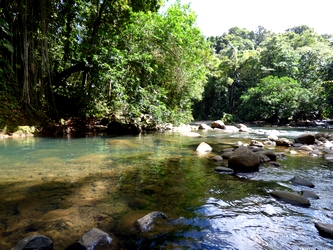 confluent au retour rivière bras david Guadeloupe