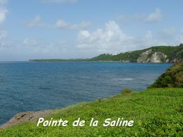 Pointe de la Saline, Petit Havre