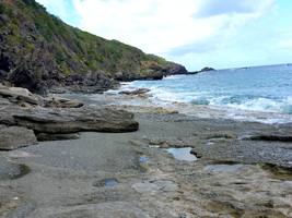 trace grand nord Désirade littoral, guadeloupe