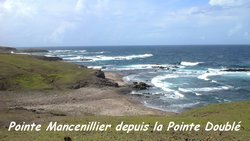 balade, désirade, pointe mancenillier, iles de guadeloupe, antilles