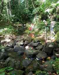 ravine 2e bras tambour petit bourg guadeloupe