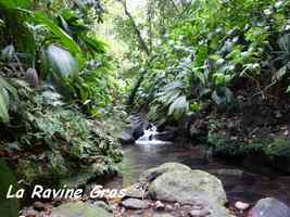 ravine gras, petit bourg