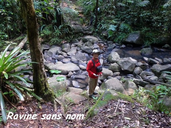 rivière sans nom, trace baille argent, basse terre nord, guadeloupe