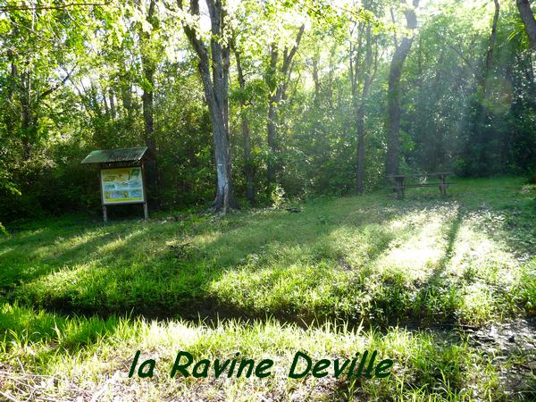 ravine deville, maisoncelle, grande terre, guadeloupe