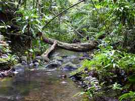 ravine gras, petit bourg