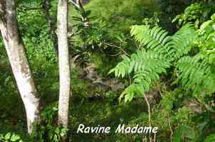 riviere Madame 