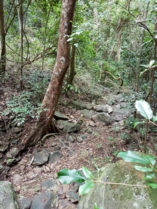 ravine pauline clugny tillet Guadeloupe