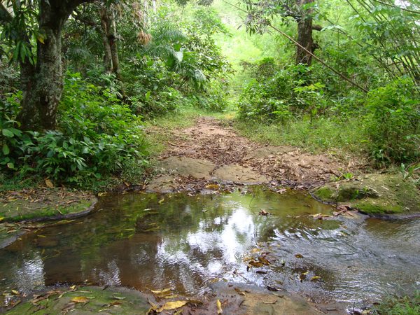 ravine Petit Boucan, cascade Bis, Ste Rose, guadeloupe