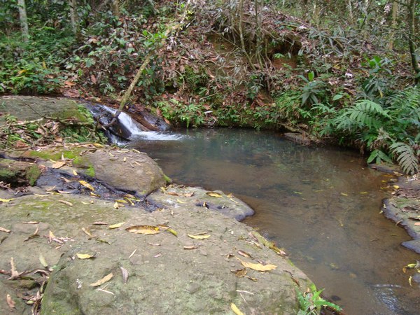 ravine Petit Boucan, cascade Bis, Ste Rose, guadeloupe