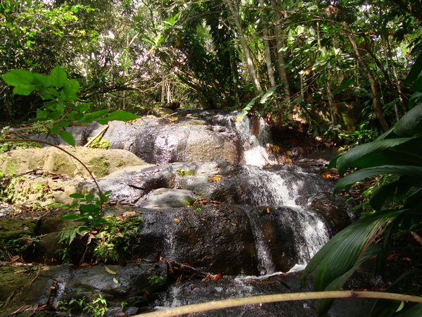 ravine Petit Boucan, cascade Bis, Ste Rose, guadeloupe