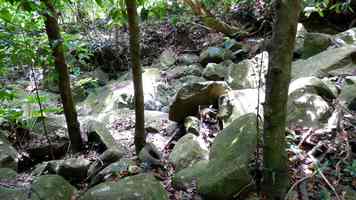 ravine salée, tour houelmont, basse terre sud, guadeloupe