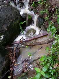 ravine, tour du houelmont, basse terre, guadeloupe