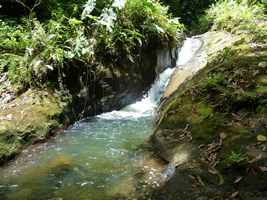 ravine tonton, rivière vx habitants, guadeloupe