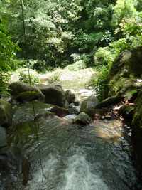 ravine tonton, rivière vx habitants, guadeloupe