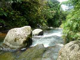 ravine tonton, rivière vx habitants, guadeloupe