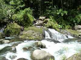 ravine tonton, rivière vx habitants, guadeloupe