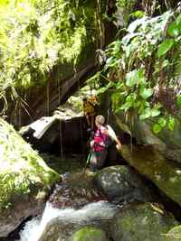 ravine tonton, rivière vx habitants, guadeloupe