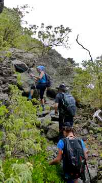 trace grand nord Désirade remontée guadeloupe