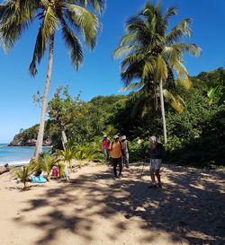 retour la perle Deshaies Guadeloupe