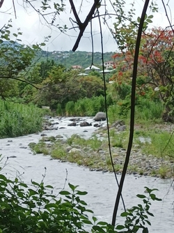 rivière vieux habitants Mamalier guadeloupe