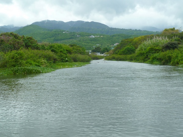 vue rivière mamalier, Vx habitants, guadeloupe