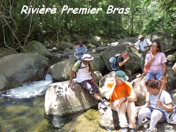 Rivière 1 bras, Galbas