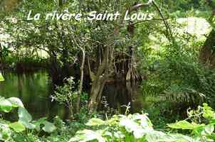 Rivière saint Louis, Grand Bourg, Marie Galante