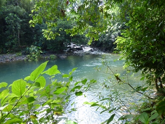 confluent rivière corossol Guadeloupe