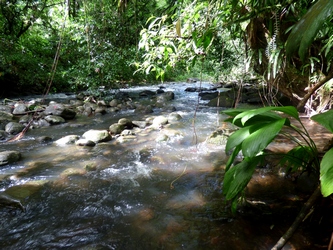 rivière Moustique petit bourg Guadeloupe