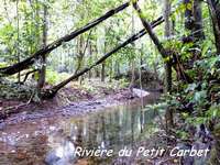 rivière petit carbet, madeleine, basse terre sud, guadeloupe