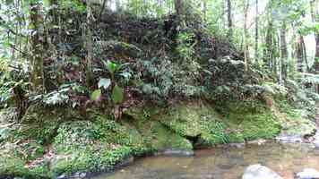 rivière quiock, route mamelles, guadeloupe