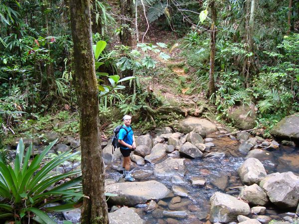 rivière sans nom, trace baille argent, basse terre nord, guadeloupe