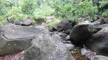 rochers, rivière quiock, route mamelles, guadeloupe