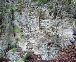 roches calcaires trace pecheurs guadeloupe