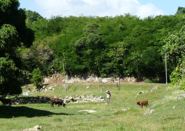Route de maudette , Trace du Prince