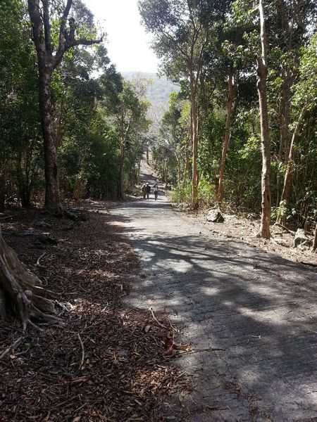 route du nord , terre de bas, guadeloupe