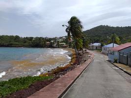 grande anse, terre de bas, Guadeloupe