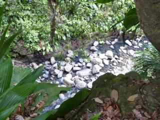 balade matouba saut d`eau foret humide guadeloupe