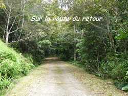 route, balade, dos d`ane, basse terre, guadeloupe, antilles