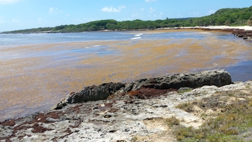 anse à l`eau sargasses St François