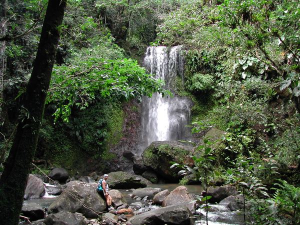 saut, trois cornes, nord basse terre, guadeloupe