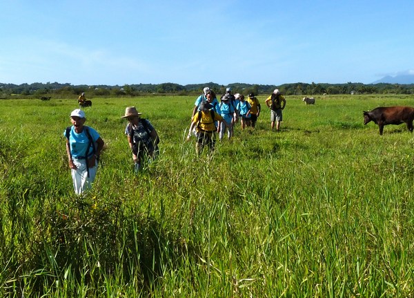 savane inondée, TGT1, L