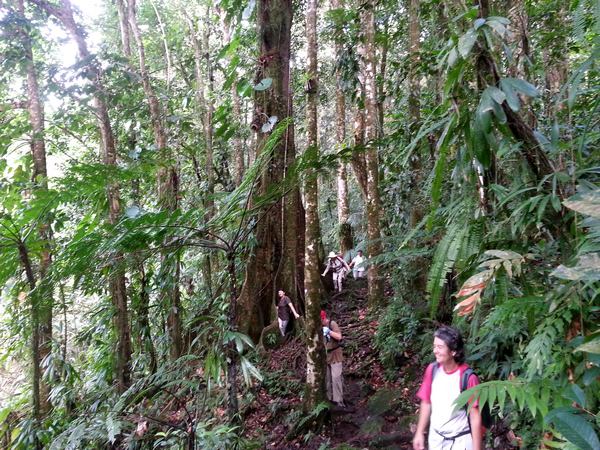 sentier, grand étang, 3 rivières