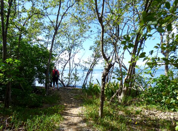 sentier, port louis, grande terre, guadeloupe