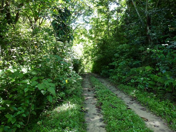 sentier, Trace du Prince