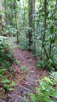 sentier, rivière quiock, route mamelles, guadeloupe