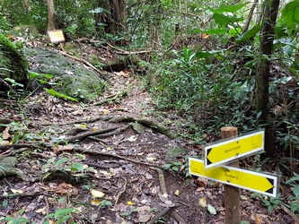 sentier barré tour du houelmont guadeloupe